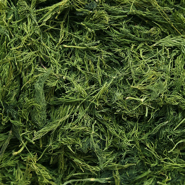 قیمت هر کیلو شوید خشک در سال 1401